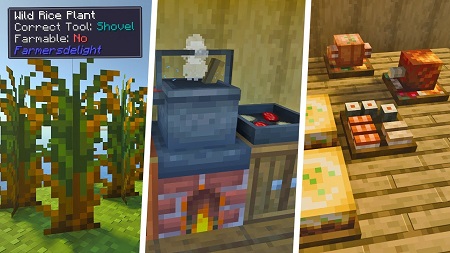 Farmer's Delight mod