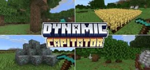 Dynamic Capitator