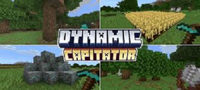 Dynamic Capitator